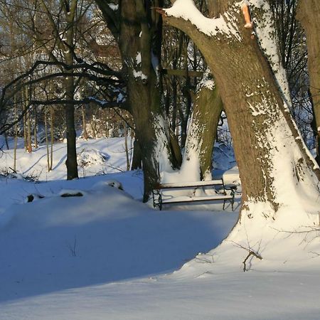 Somhegyi Öreg Hársfák Major Vendégház Bakonybél Extérieur photo